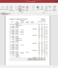 Modul Stempeluhr: Monatsbericht